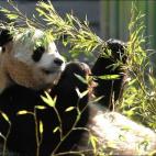 5c8ae7802000009d036ff0af