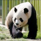 5c8ae781230000dd0423e652