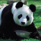 5c8ae7813b000072066cc37a