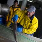 5c8a52bf360000ba1a6b5530