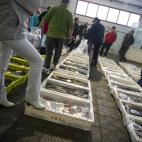 5c8a52c0250000520681005f