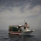 5c8a52c1260000f903fe34ca