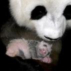 5c8acdd7230000d50423bd2c