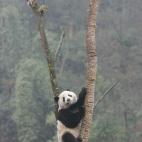 5c8acdd73b000070066c9a76