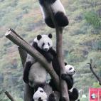 5c8acdd82000009d036fc7b9