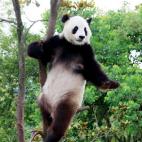 5c8acdd8360000c81a6c1a29