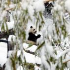 5c8acdd92000009e046fc7bb