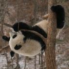 5c8acdd92400006d054c7c90