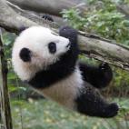 5c8acdd92300005400e73447