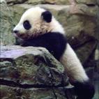 5c8acdda2300003000e73449