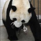 5c8acdda2500000704c9ad7b