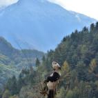 5c8acddb24000093024c7c95