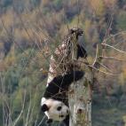 5c8acddc2300005400e7344b