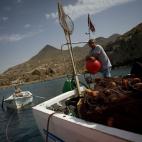 5c8a52c4250000bd05810064