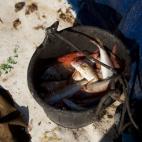 5c8a52c6240000f404a2f051