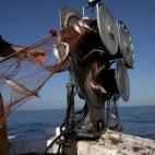 5c8a52c63b000054066bd781