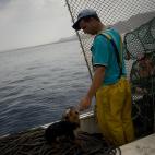 5c8a52c72500001304c8e680