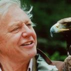 5c8ae7b82400004205a3e1b6