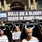 5c8b335a22000033001a87f5