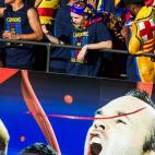 5c8ae7c3360000ba1a6c430c