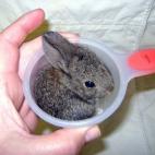 5c8b3373360000ba1a6cb5d3