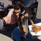 5c8b3374240000f404a45665