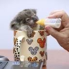 5c8b33752300007f01245ba5