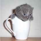 5c8b3375360000ba1a6cb5d9