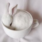 5c8b3376360000c81a6cb5db