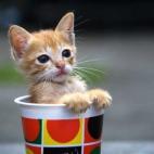 5c8b3377240000f7054d1a17