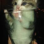 5c8b33792400006c05a45673