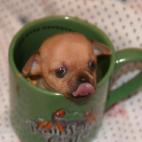 5c8b337922000031001a8841