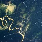 'The incredibly green lush wetness of the Amazon basin."