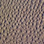 "These delicate cappuccino frosting decorations are, in fact, endless hummocks of Saharan sand."