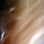 "Even as I took this picture I was thinking it will make a nice desktop background. And it does."