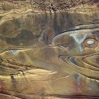 "This taffy-twisted African rock reminds me of a dolphin, and Alfred Hitchcock."