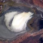 "Your perspective often dictates what you see. From here I see a puffball on an oyster half-shell. How about you?"