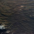 "Dragon skin. A bad place to take a walk, near the Horn of Africa."