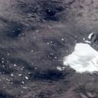 "Mama Iceberg and her litter of baby ice cubes, slowly melting into the South Atlantic Ocean."