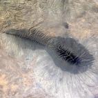 5c8adfbc360000e01c6c37b6