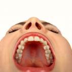 "Gaspe, Quebec - avec une bouchee de glace - with a mouthful of ice."