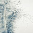 "Looks like soft feather down, but it's bigger."