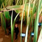 En Alemania se respira cultura en cada esquina, y gran parte de ella la encontrarás en sus famosos museos. Algunos de ellos, como Museo Klimahaus, merecen una visita por la simple originalidad del lugar en sí mismo. En el caso del Klimahaus, e...