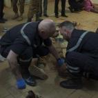 5c8b7ada360000a61b6d2fe8