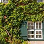 Hay viajeros que son más cosmopolitas, otros son más rurales. La ventaja de Alemania es que ambos quedarán satisfechos, ya que sus ciudades son increíbles, están llenas de vida y tienen muchísimos rincones que descubrir… Y sus pueblos no...