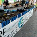 Mercados des Jacobins, al pie de la catedral
