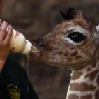 5c8aaa8f250000bd0581839f