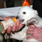 5c8aaa8f3b000037066c5730