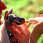 5c8aaa90230000dd04237822