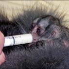 5c8aaa902400006b054c3814